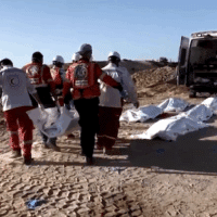  | Human Shields in Gaza | MR Online