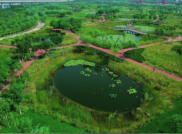  | Tianjin Qiaoyuan Park in Tianjin one of the earliest sponge city projects in China Credit Wikimedia Commons | MR Online